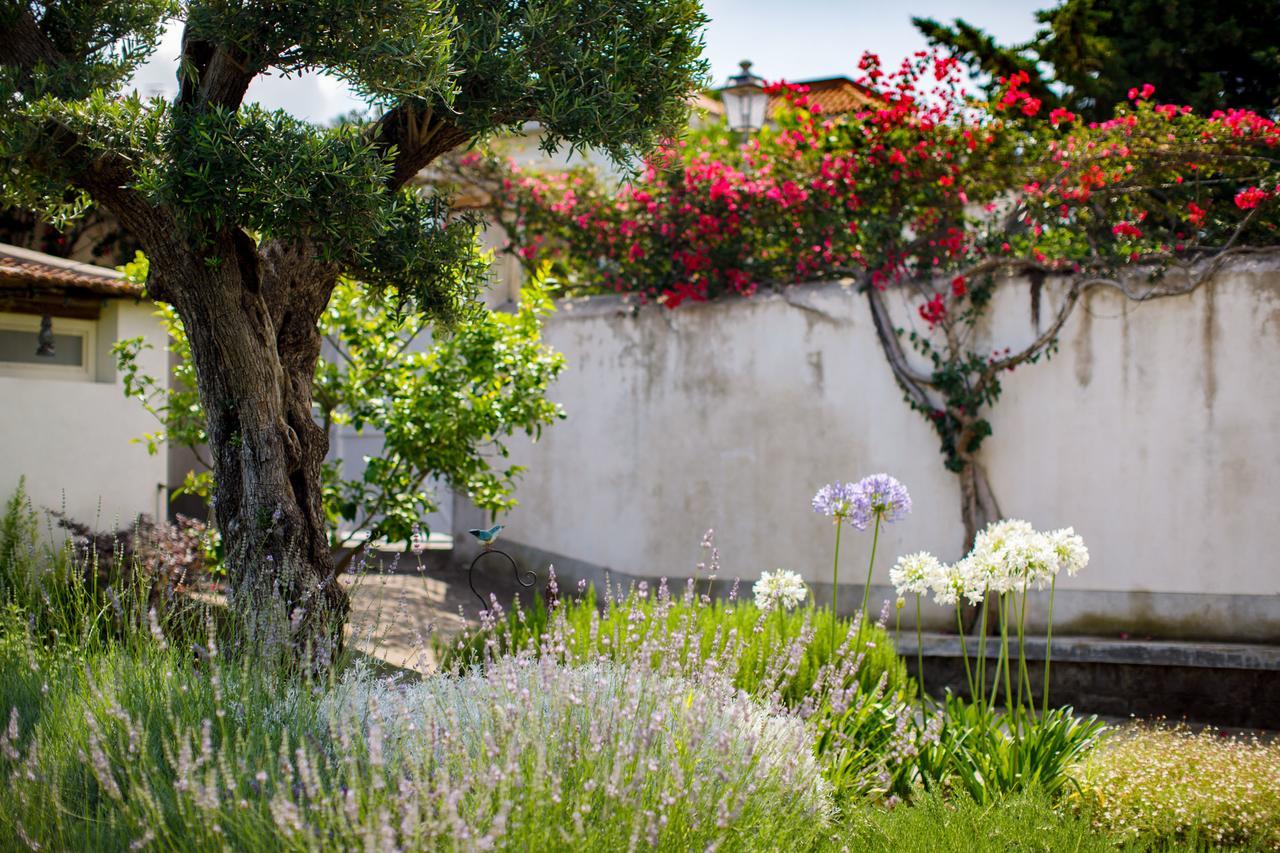 Reggine Holiday Apartments Sant'Agnello Buitenkant foto