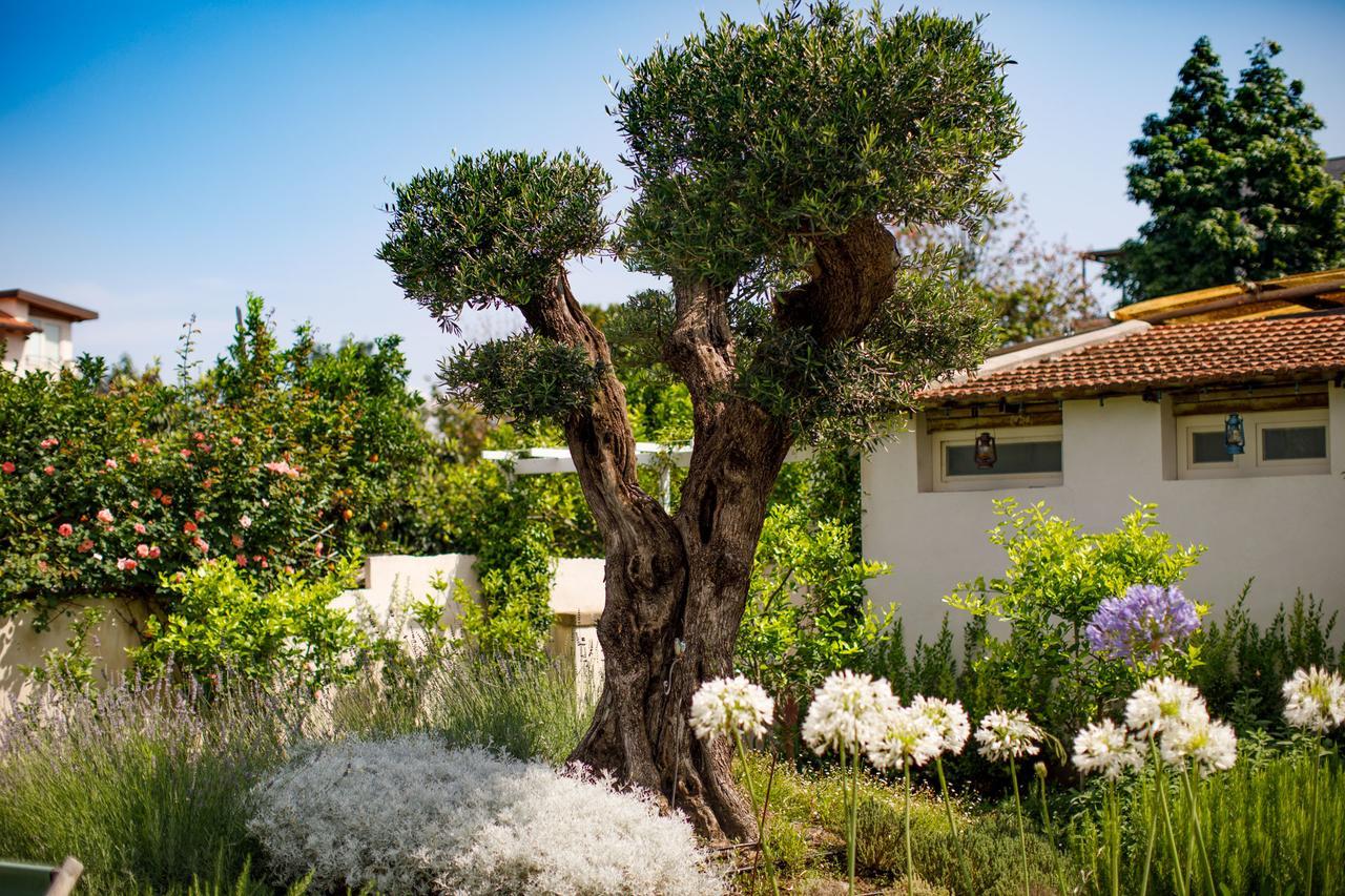 Reggine Holiday Apartments Sant'Agnello Buitenkant foto